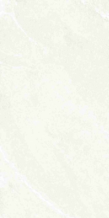 Dhara White Matte 24 x 48